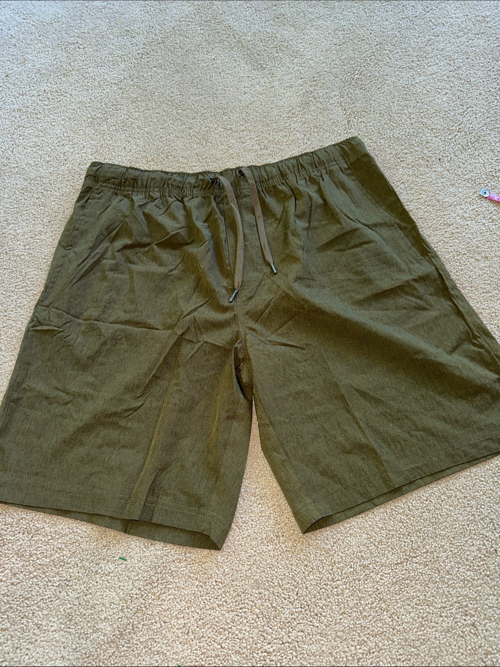 Swiss Alps shorts